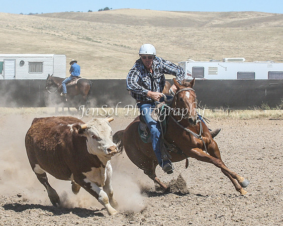 AdaminabyCampdraft2015_0582
