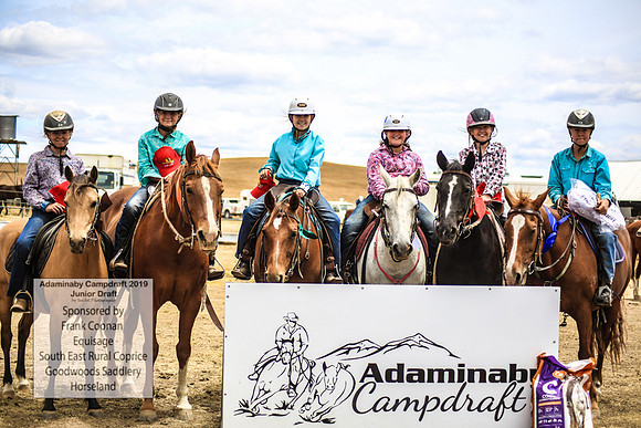 AdaminabyCampdraft2019_1104