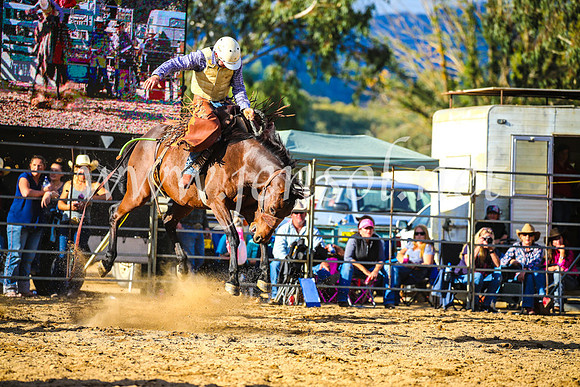 TumutRodeo2017_2444