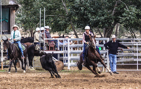 Corryong09 056
