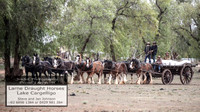 Lake Cargelligo Show Rodeo 2018