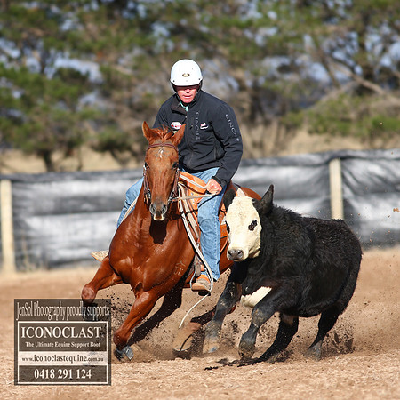 GoulburnCampdraft2018_2125