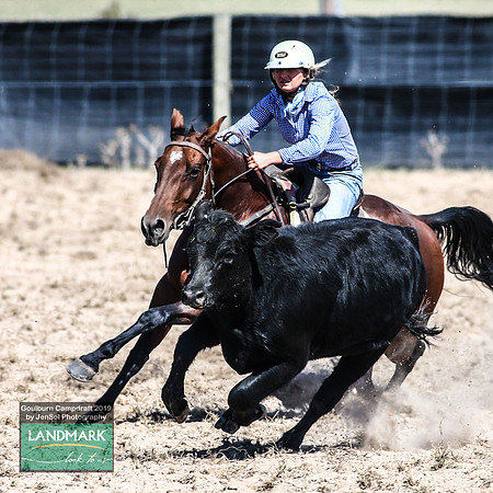 GoulburnCampdraft2019_0711