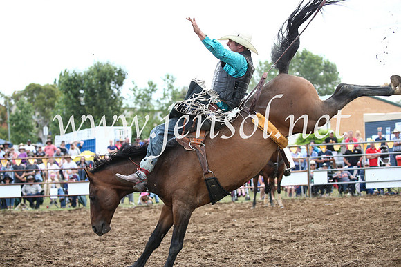 JindabyneRodeo2016_4399