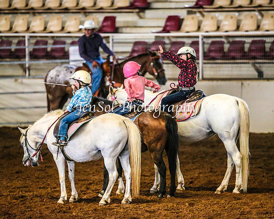 RealDealRodeoFeb2014_0003