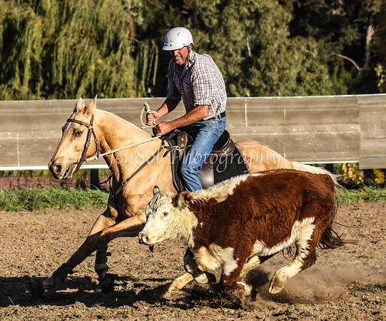 IMG_0220Jugiong2