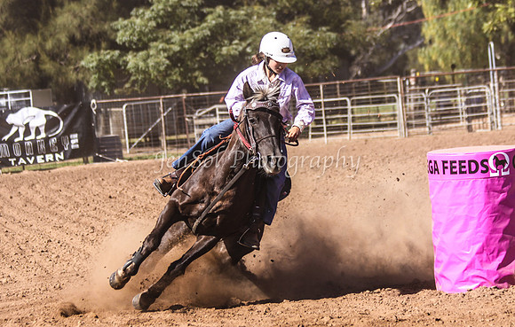 Dubbo2 140