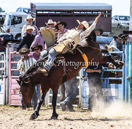 Bungendore2011_0763