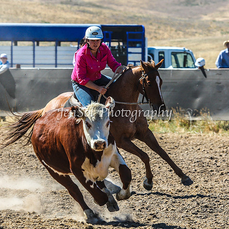 AdaminabyCampdraft2015_0181
