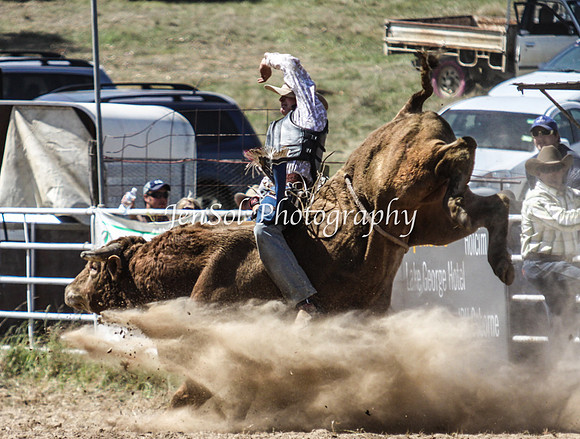 Bungendore2011_1137