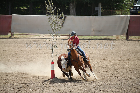 Tumut2_0663