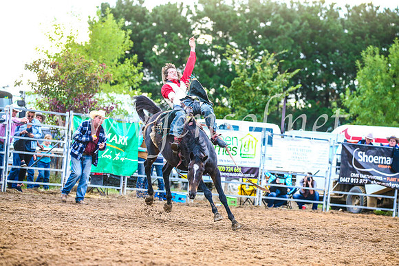 BraidwoodRodeo2017_3042