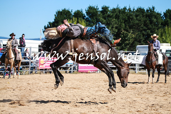 BraidwoodRodeo2016_1868