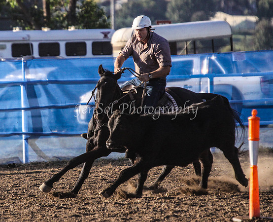 IMG_0115CCCSun
