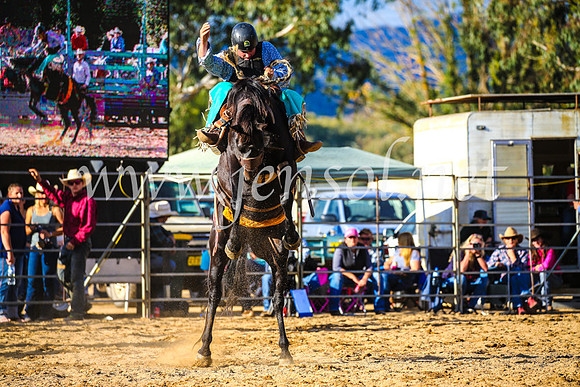 TumutRodeo2017_2481