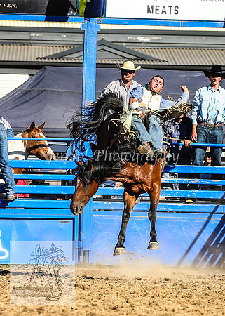 TumbarumbaRodeoNYE2025_4197