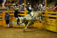 Bulls