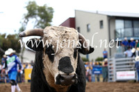 JindabyneRodeo2016_3209