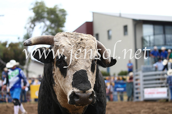 JindabyneRodeo2016_3209