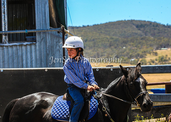 AdaminabyCampdraft2015_0415