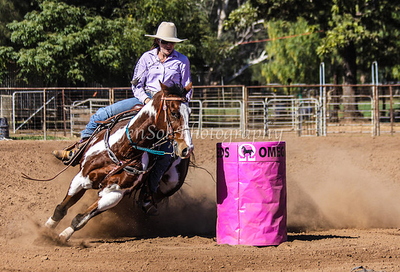 Dubbo2 289