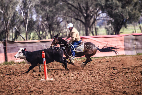 IllaboSun 168