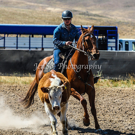 AdaminabyCampdraft2015_0194