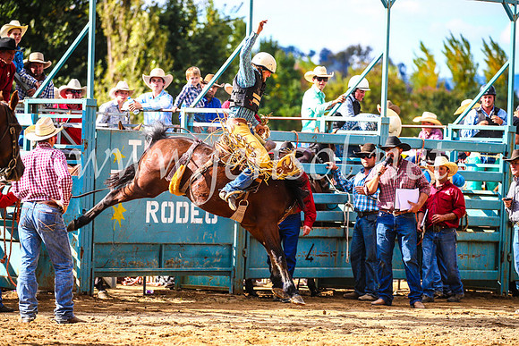 TumutRodeo2017_1624