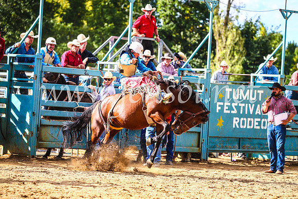 TumutRodeo2017_1785