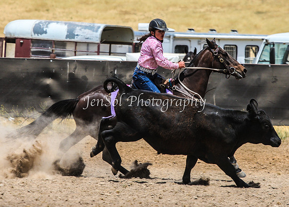 AdaminabyCampdraftSun2015_3284