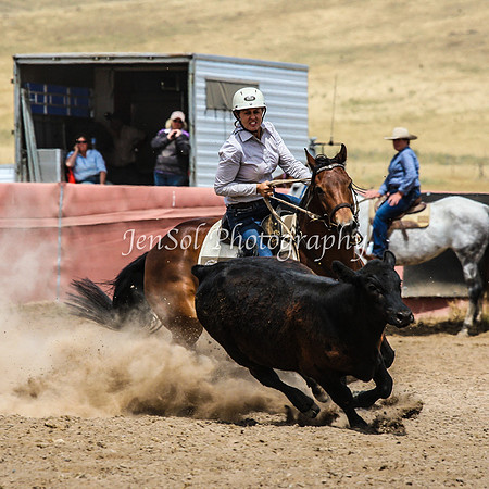 AdaminabyCampdraftSun2015_3355