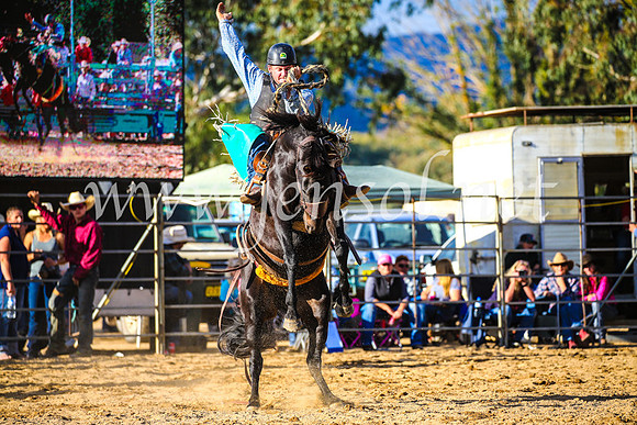 TumutRodeo2017_2491