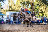 TumutRodeo2017_3019