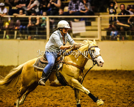 RealDealRodeoFeb2014_1500