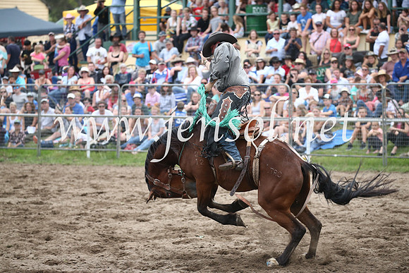 MoruyaRodeo2017_7356
