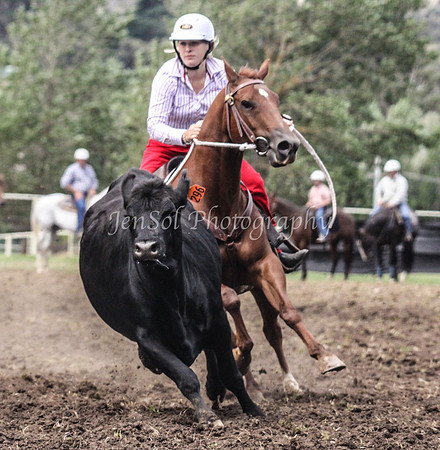 NimmitabelSun_0545