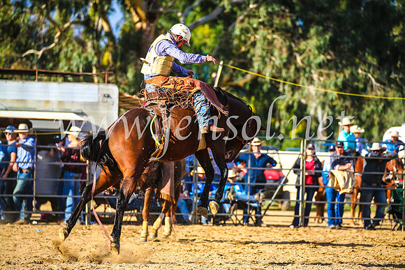 TumutRodeo2017_2451