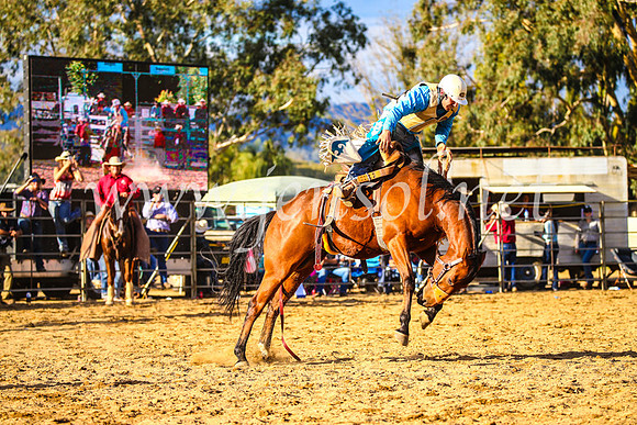 TumutRodeo2017_2612