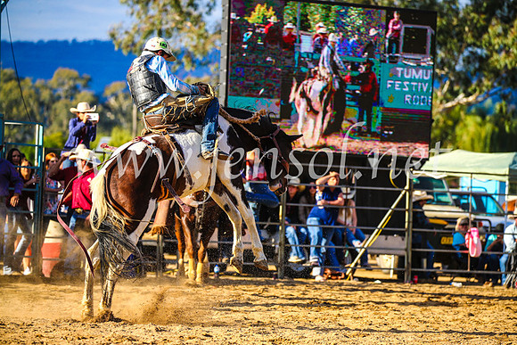 TumutRodeo2017_2536