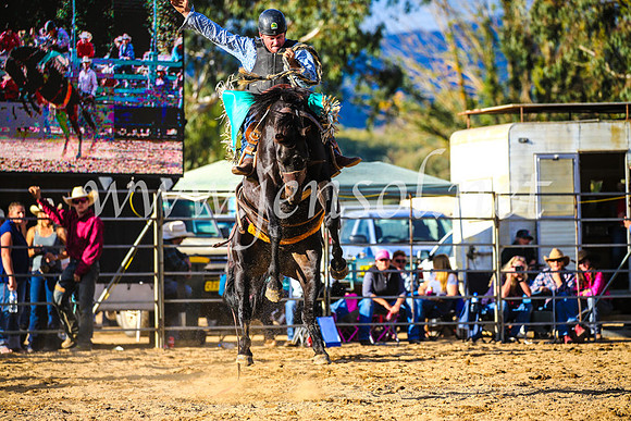 TumutRodeo2017_2479