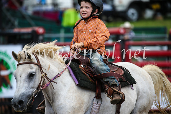 CoomaRodeo2017_2265