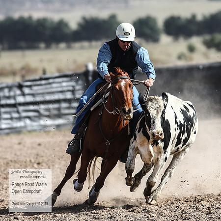 GoulburnCampdraft2018_4071