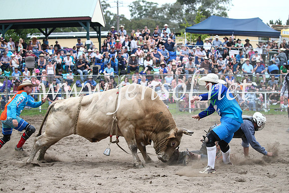MoruyaRodeo2017_6574