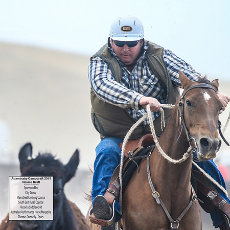 AdaminabyCampdraft2019_5418