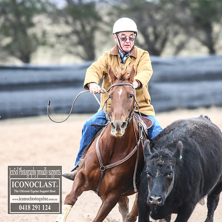 GoulburnCampdraft2018_8927