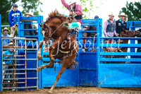 Novice Saddle Bronc