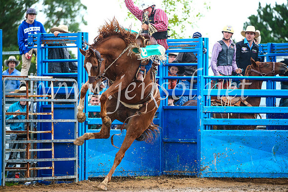 BraidwoodRodeo2017_1944