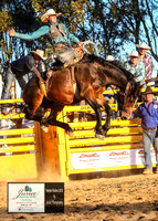 Saddle Bronc