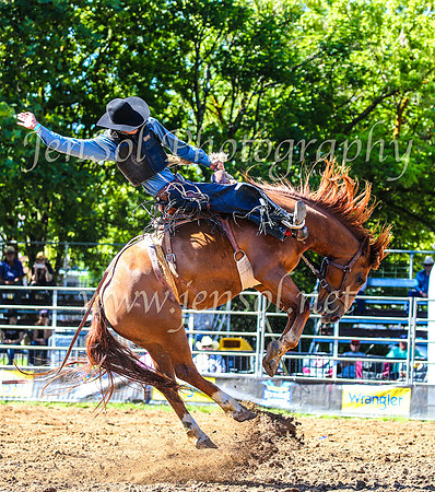 TumbarumbaRodeo2024_0246