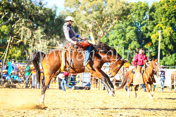 TumutRodeo2017_2370